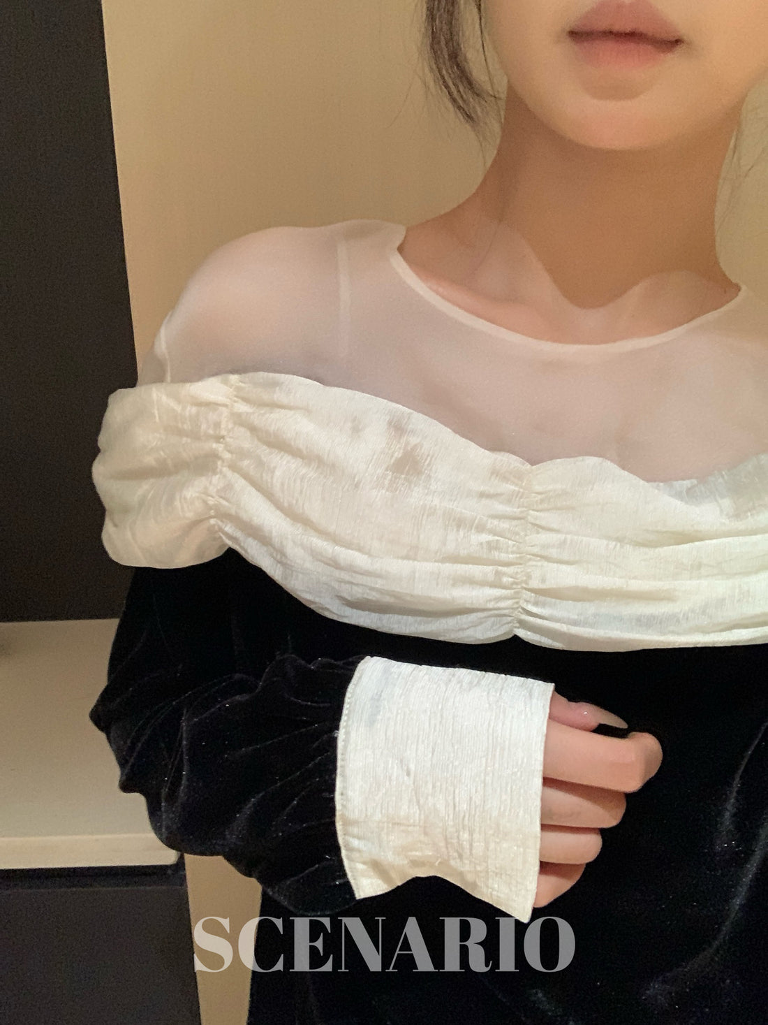 SCENARIO Sheer Trim Blouse-Black